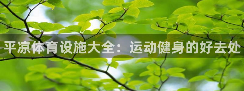 意昂体育3招商电话号码是多少啊：平凉体育设施大全：运