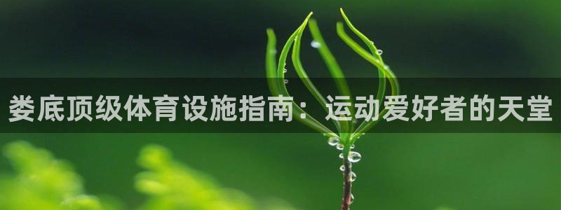 意昂体育3招商电话号码是多少：娄底顶级体育设施指南：