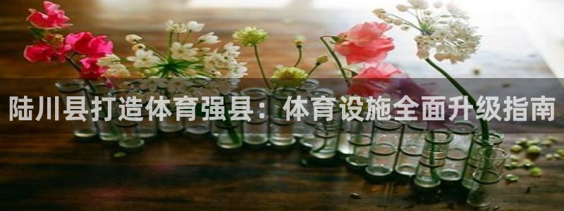 意昂3官网：陆川县打造体育强县：体育设施全面升级指南