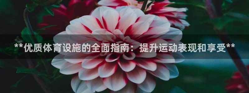 意昂集团官网：**优质体育设施的全面指南：提升运动表现和享受