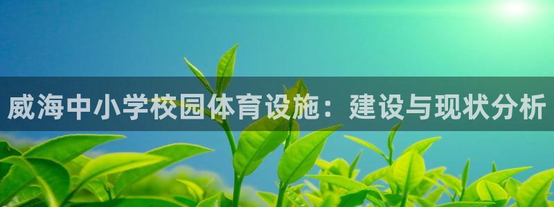 意昂3娱乐40996：威海中小学校园体育设施：建设与现状分析